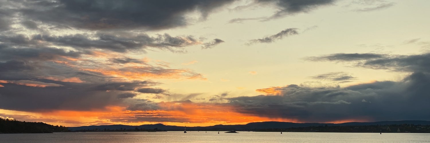 Marthinsenn's profile banner image