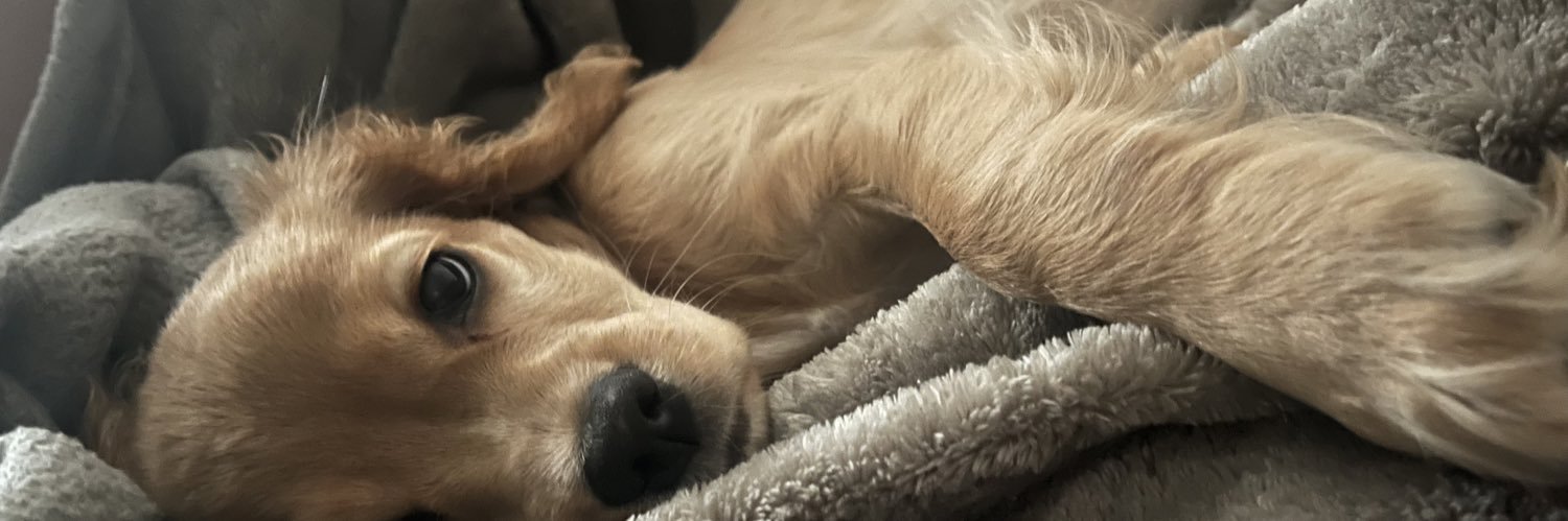 diabecky's profile banner image