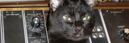 the mysterious regular worm banner