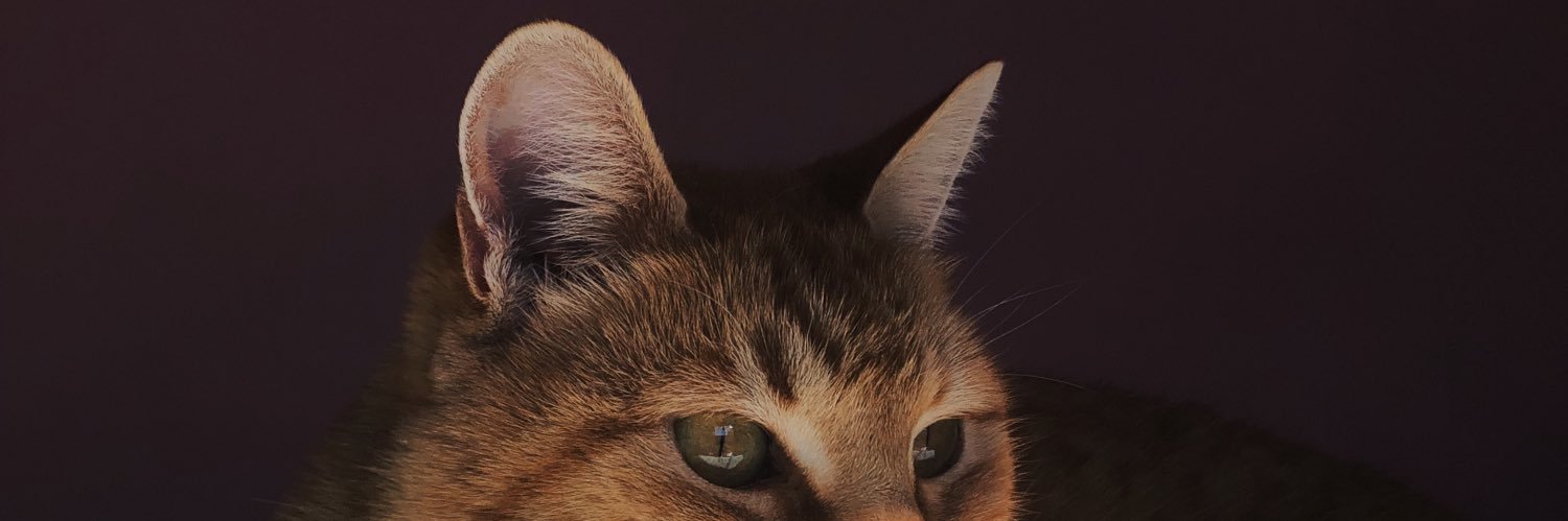 AgusCapurro_'s profile banner image