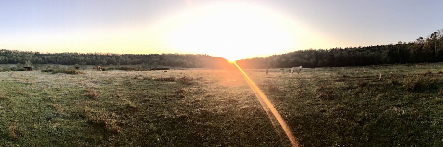 StallBradley's profile banner image