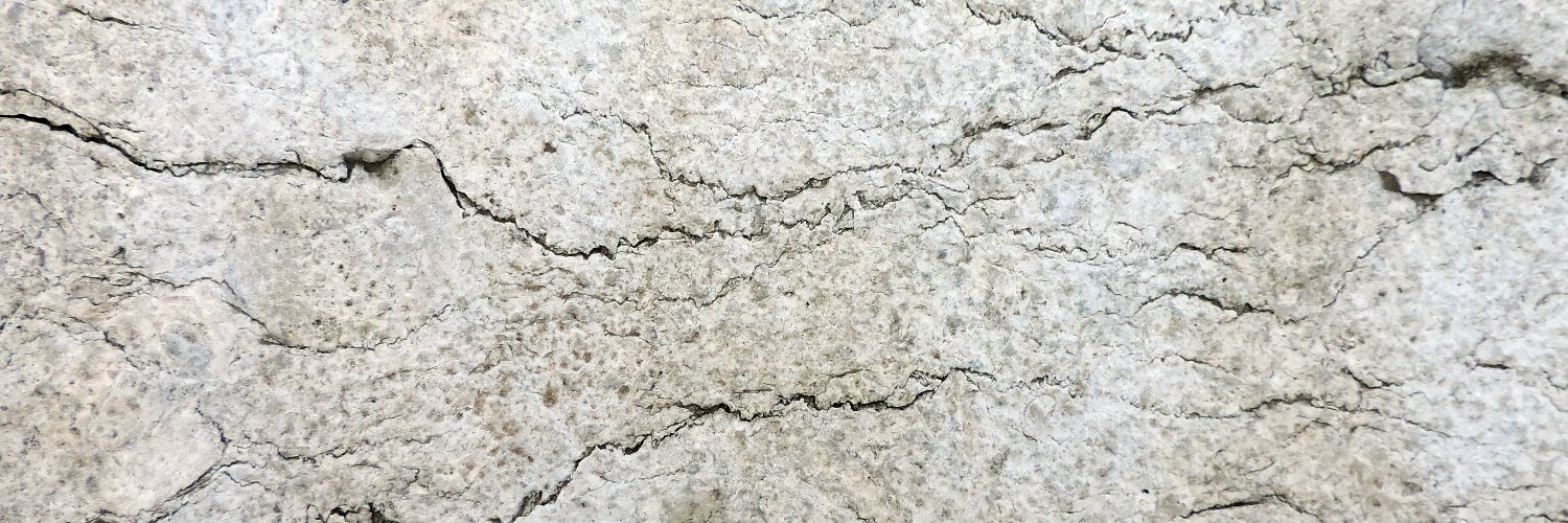 San G. Solazzi banner