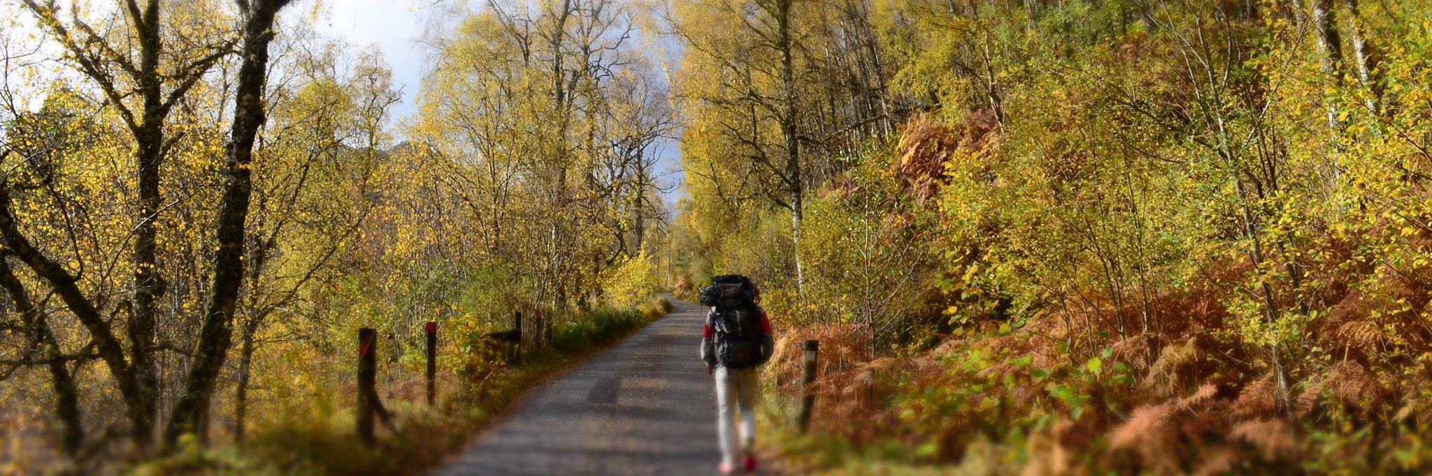 Pierre Giraud banner