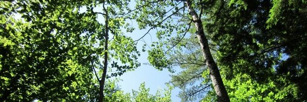 MikeyMIT Profile Banner