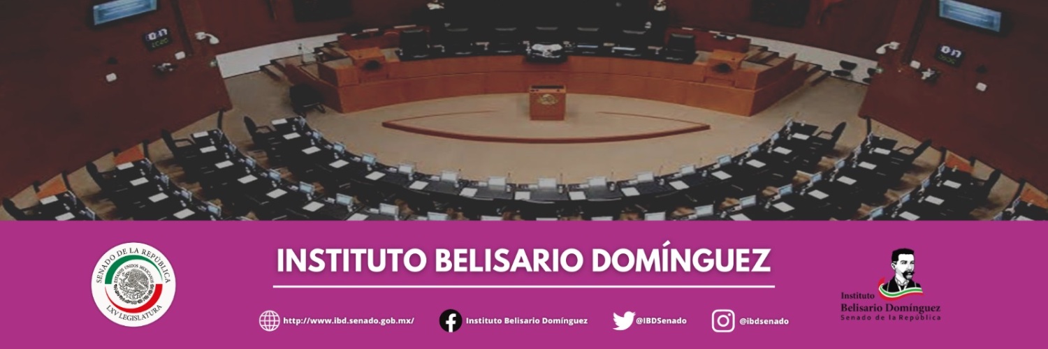 Instituto Belisario Domínguez banner