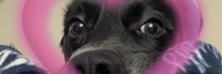 Dulce_rg99's profile banner image