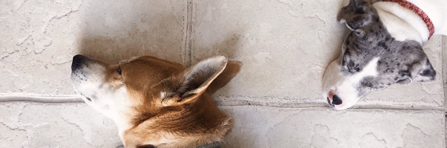 brimcardenas's profile banner image