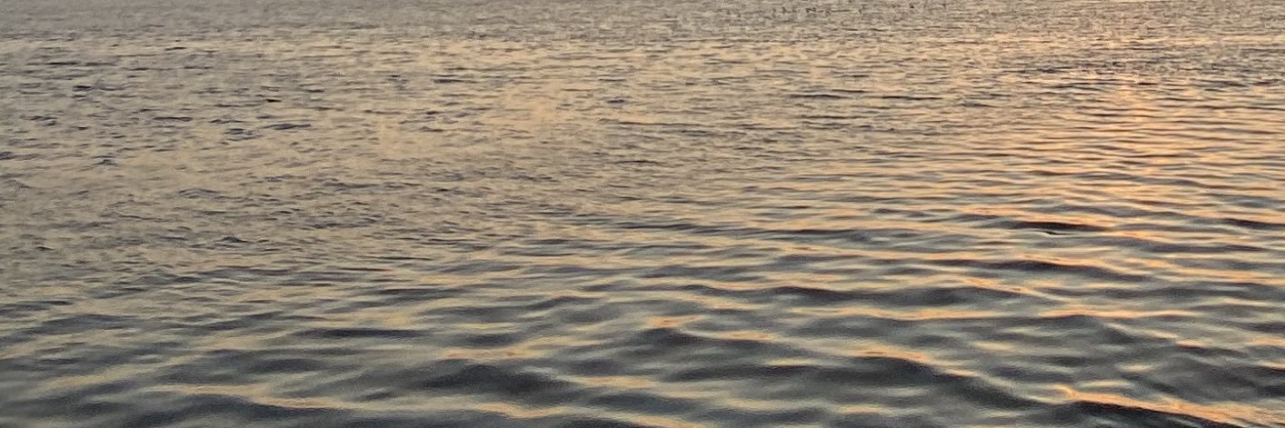 ohmarieluise's profile banner image