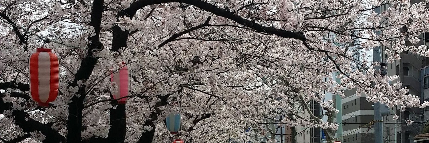 rouky6283's profile banner image