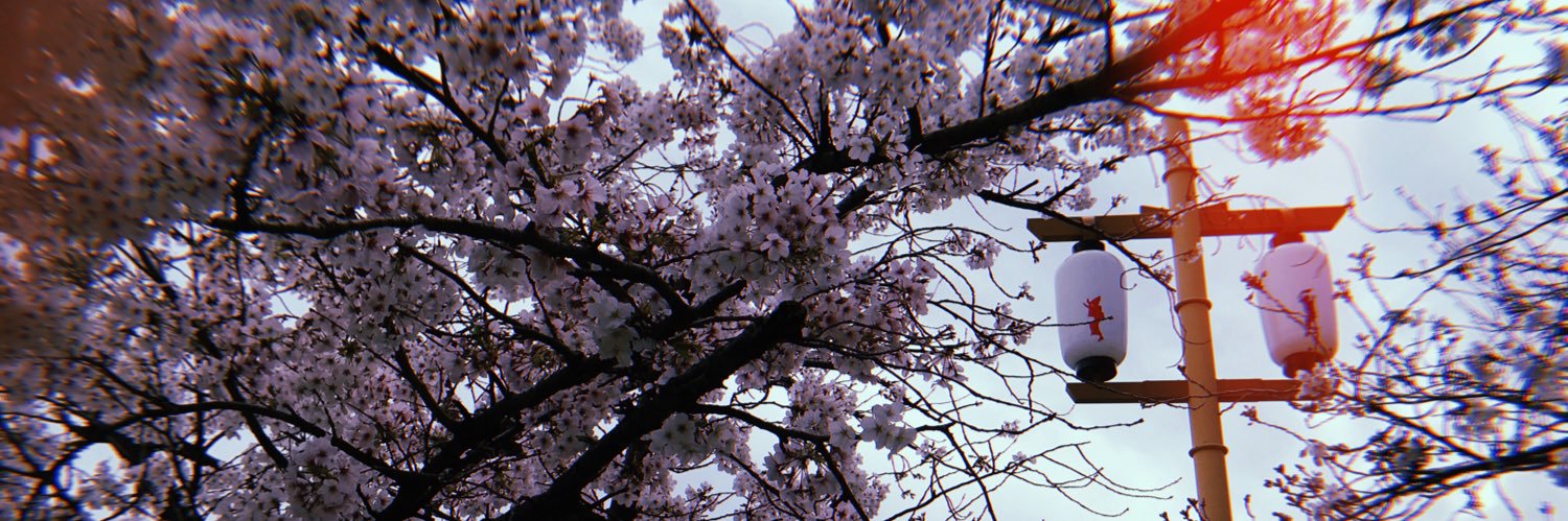 maguro2261's profile banner image