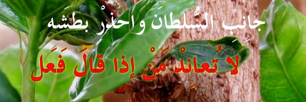 الحمدلله رب العالمين banner