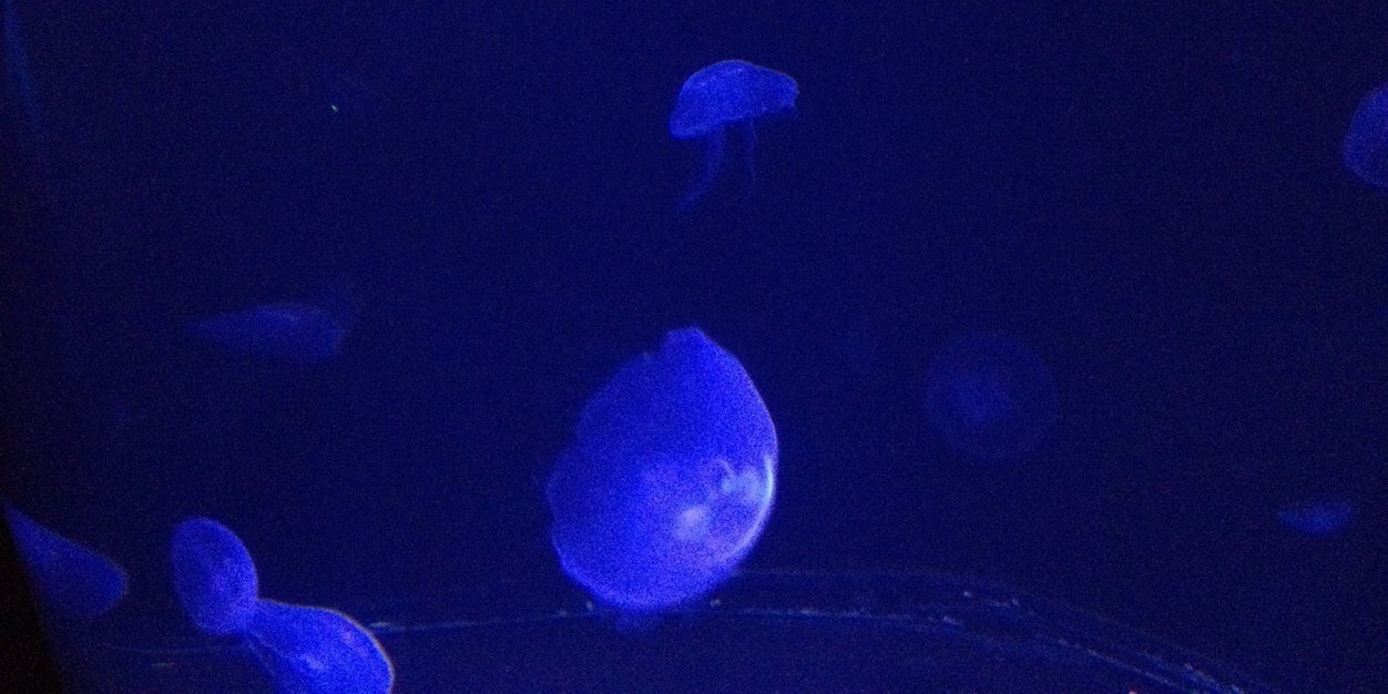 mcmillanscience's profile banner image
