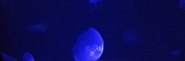 mcmillanscience Profile Banner