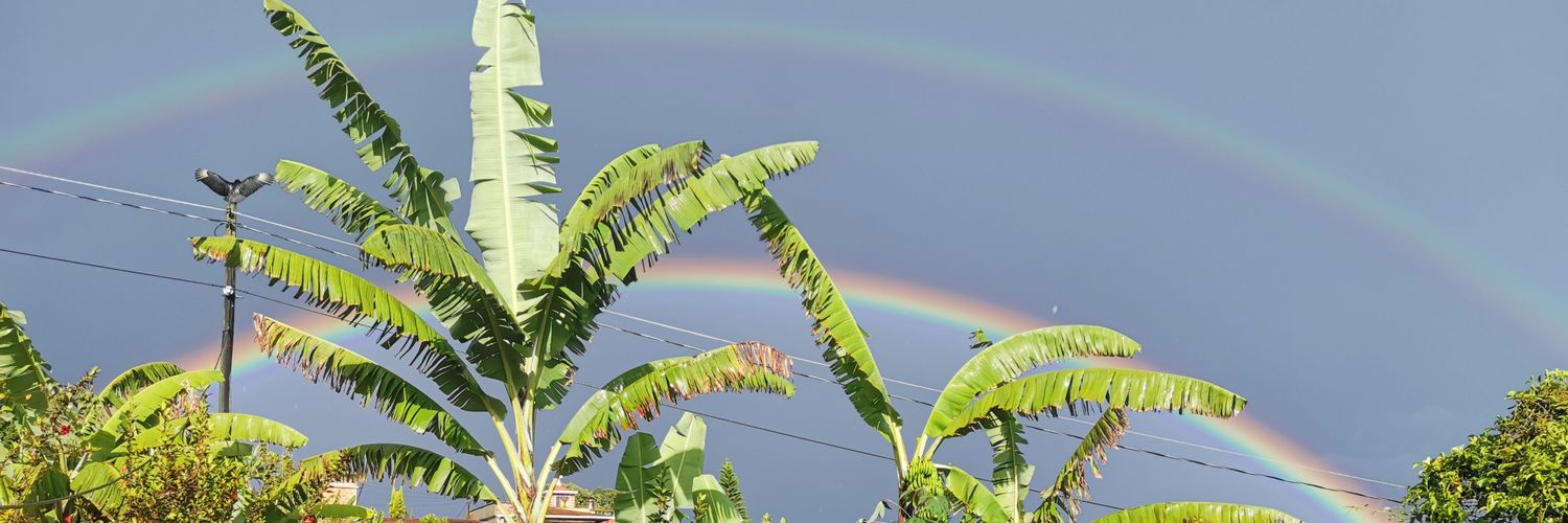 monicamaua's profile banner image