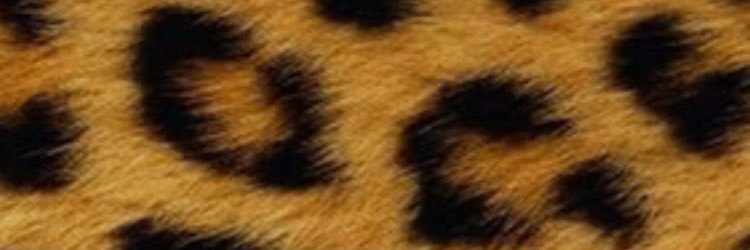 GabrielaaCova's profile banner image