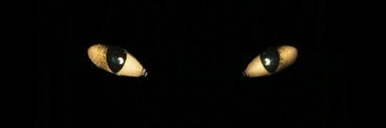 jmcq_94's profile banner image