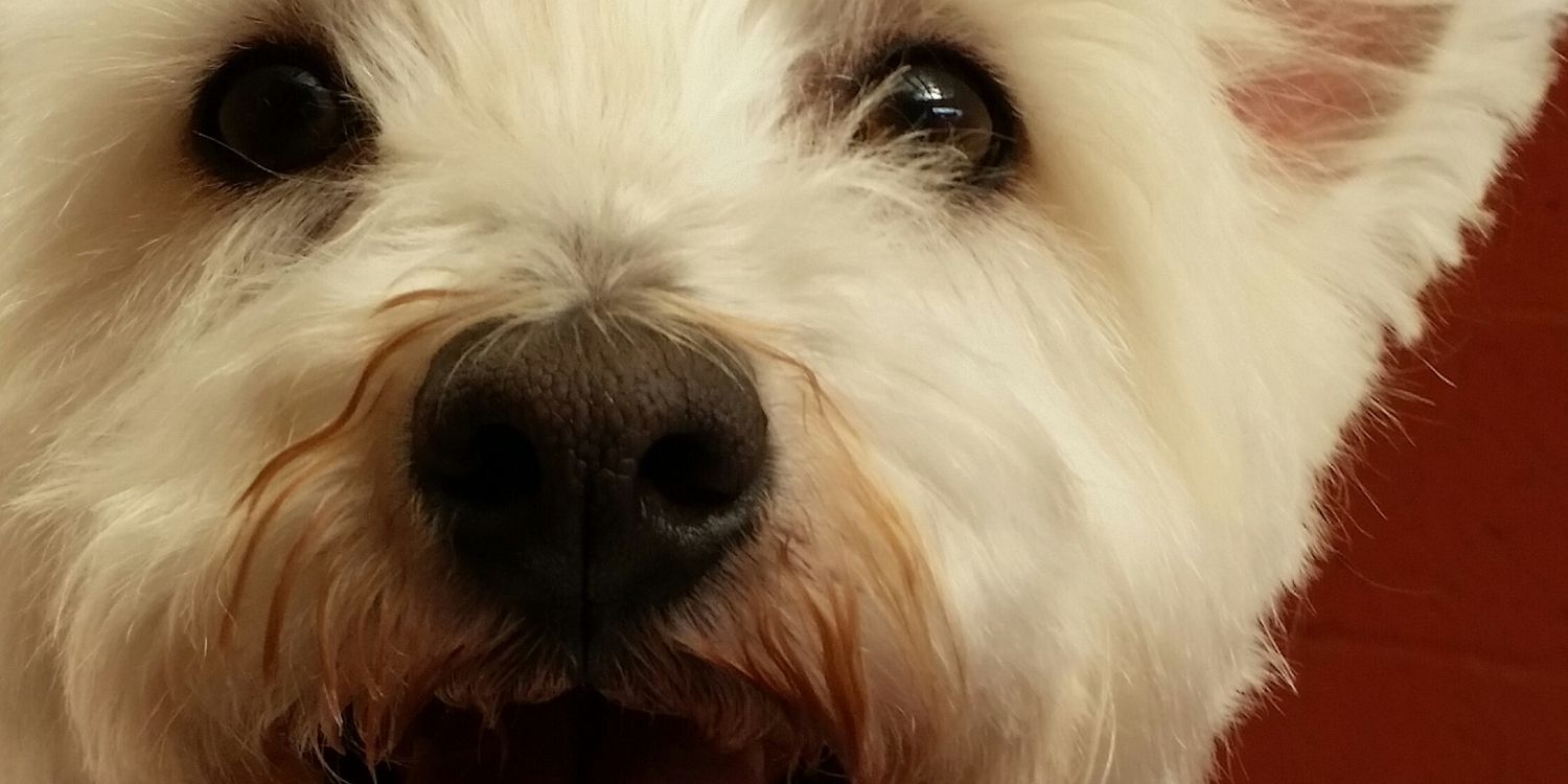 bernardlynch11's profile banner image