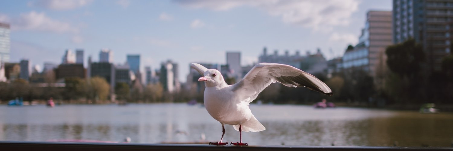 Kyohei Okumura banner