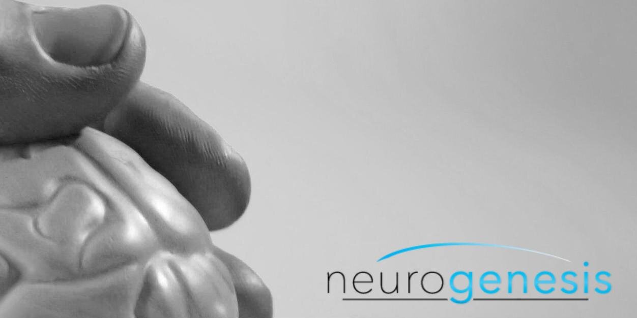NeurogenesisCtr's profile banner image