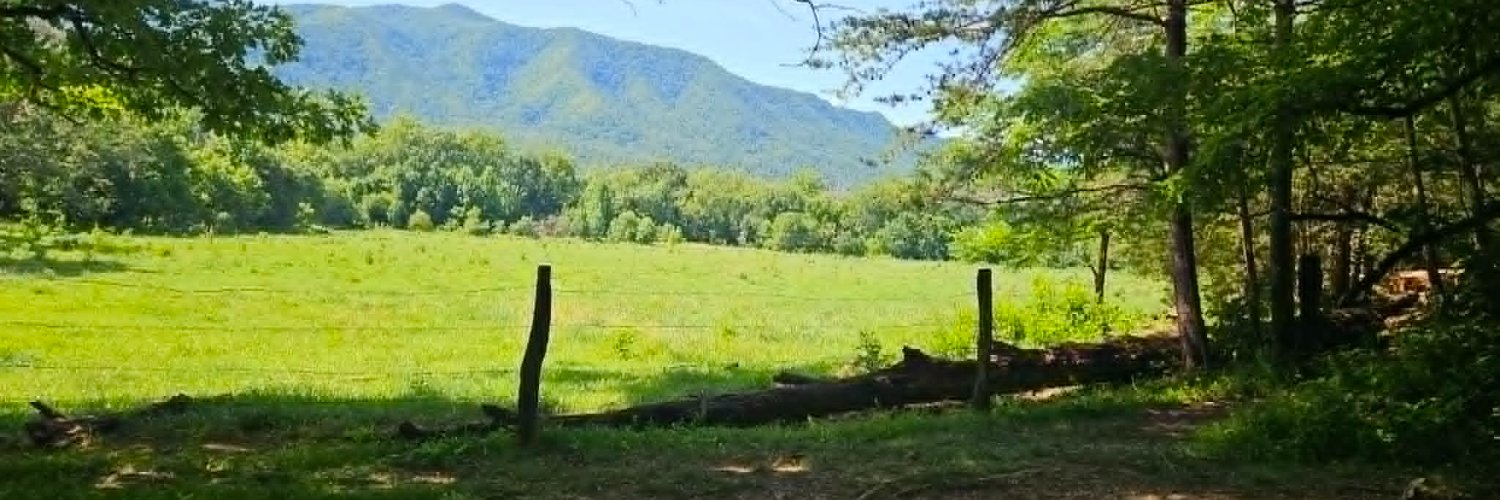 mountainmama50's profile banner image