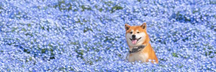 hellajudy's profile banner image