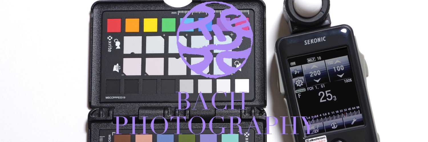 PhotographyBach's profile banner image