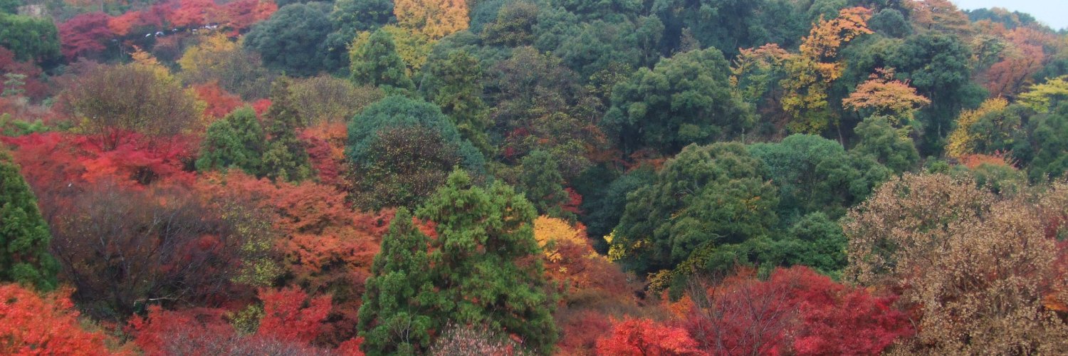 jamblia's profile banner image