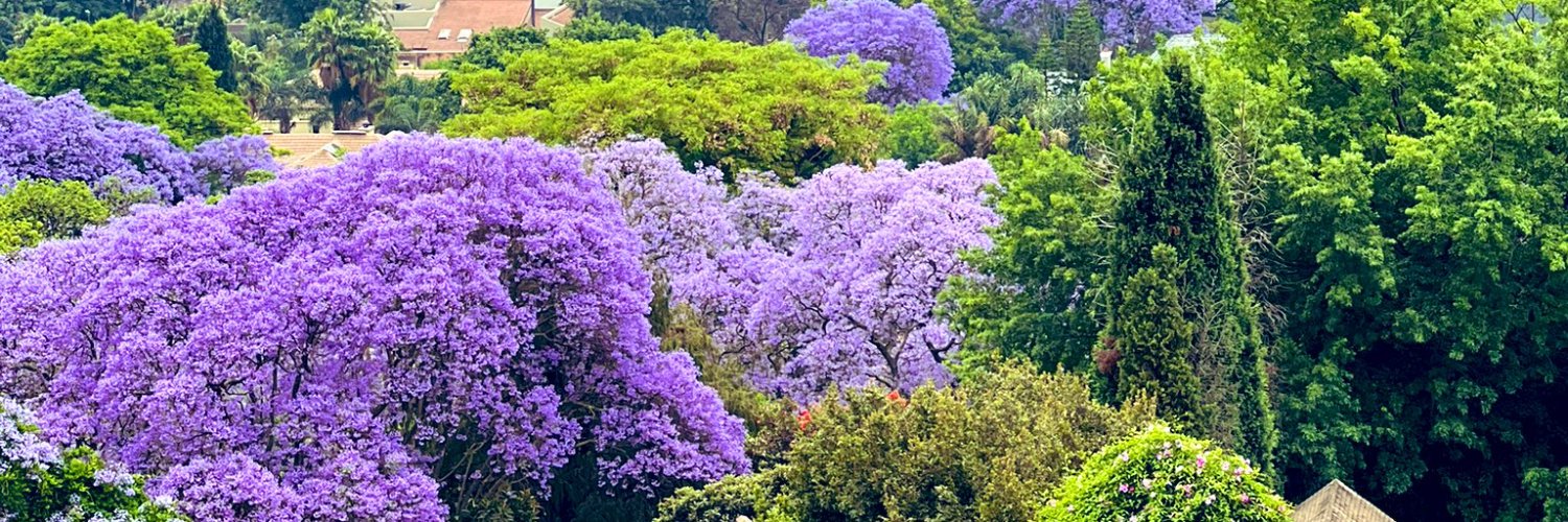 IsaacMatla's profile banner image