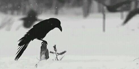 PepperM_DW's profile banner image
