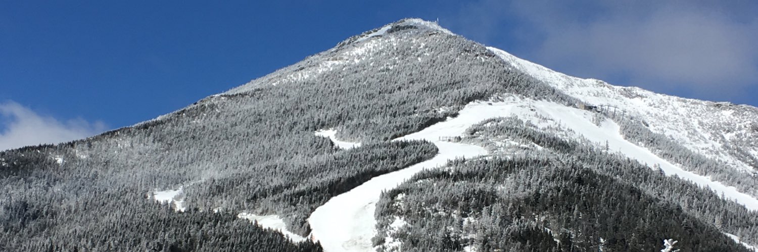 SusanCBauer's profile banner image
