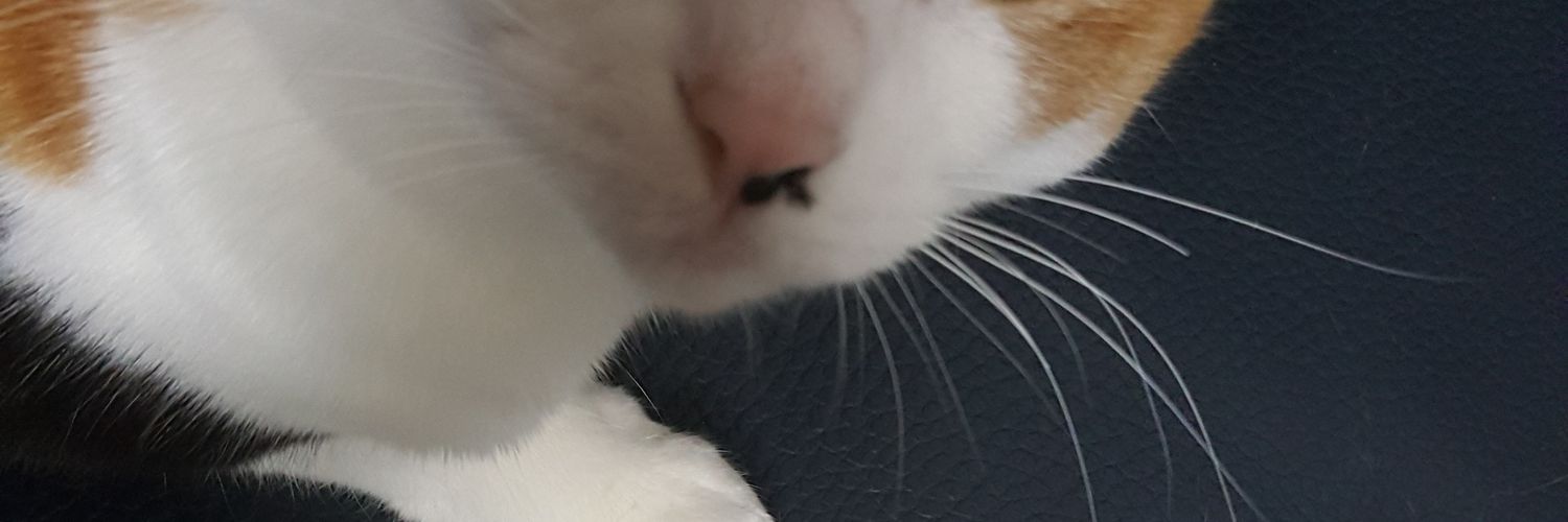 07o29's profile banner image