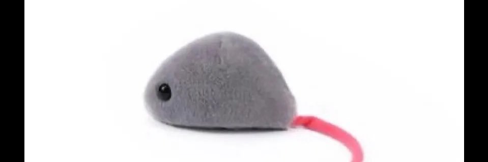 mothmans_cousin's profile banner image