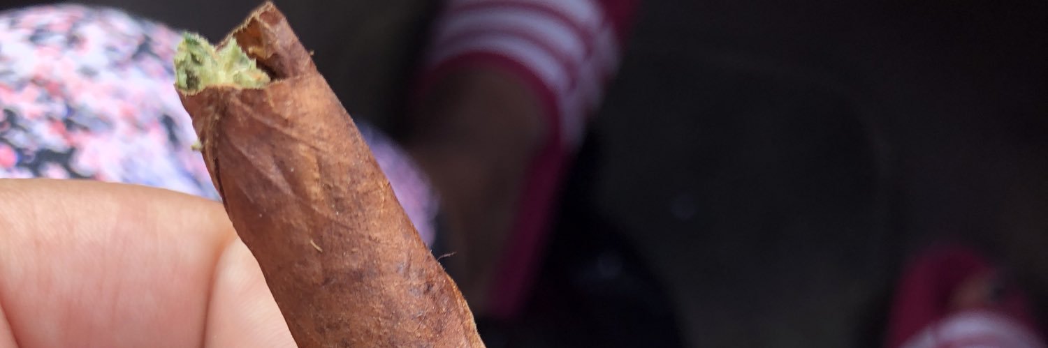 cootaa_'s profile banner image