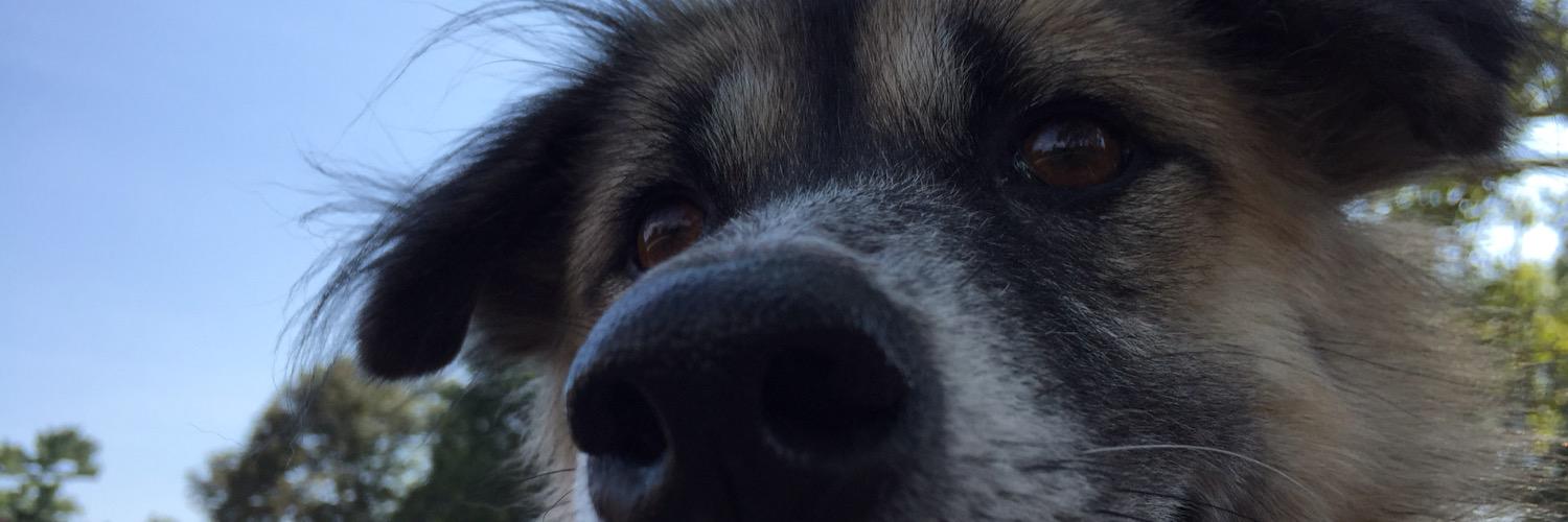 Evan_Berkow's profile banner image