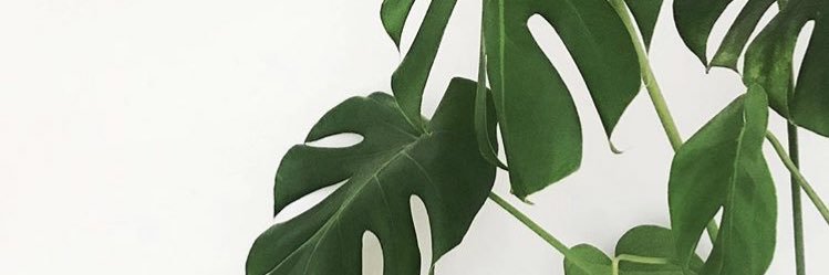 RappleyeBrette's profile banner image