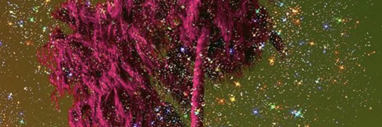 ★ emily ★ banner