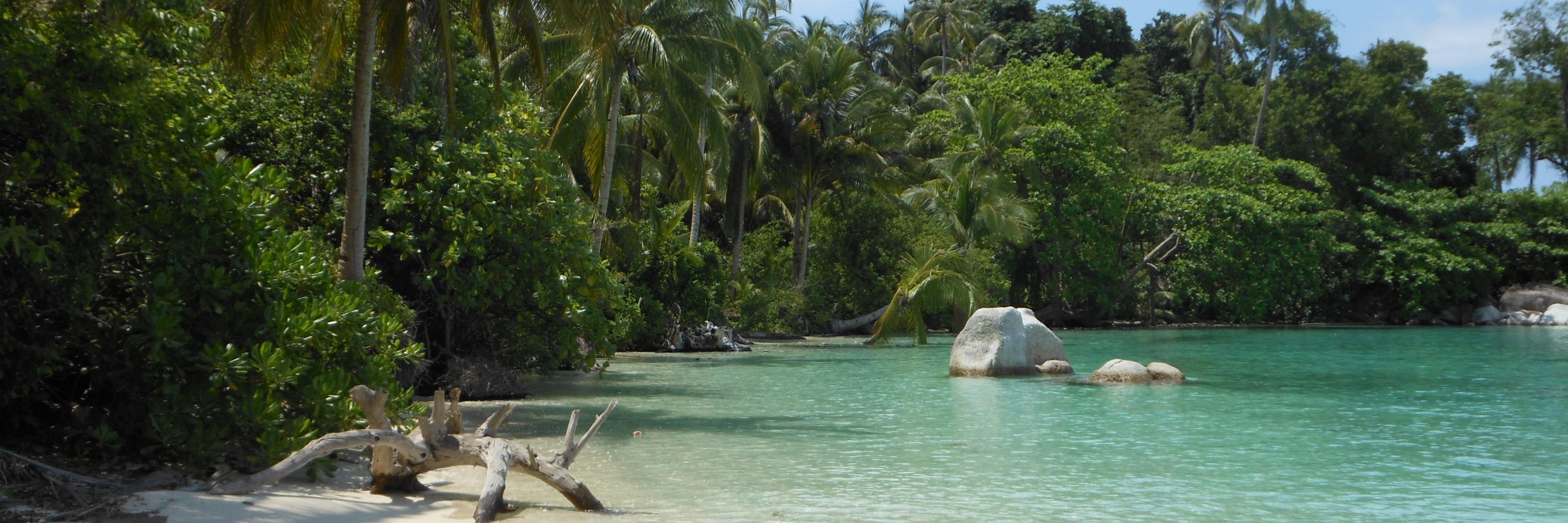 Jessica de Ruijter banner