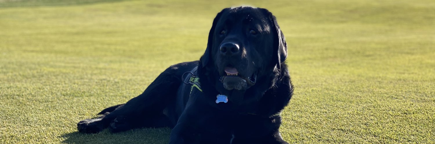schroederk14's profile banner image
