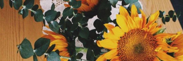 alexandraajune's profile banner image