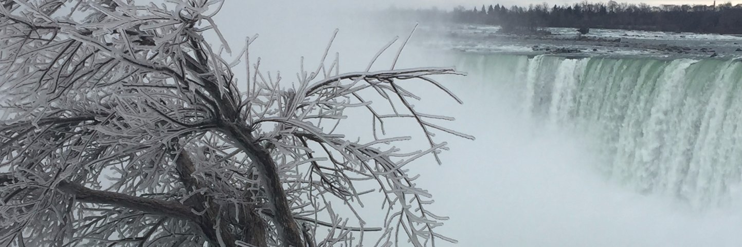 Jennifer O'Brien banner