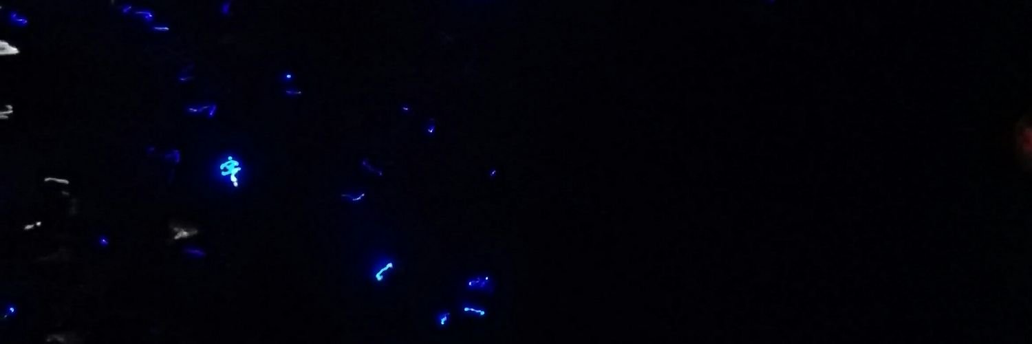 chocomaca_2's profile banner image