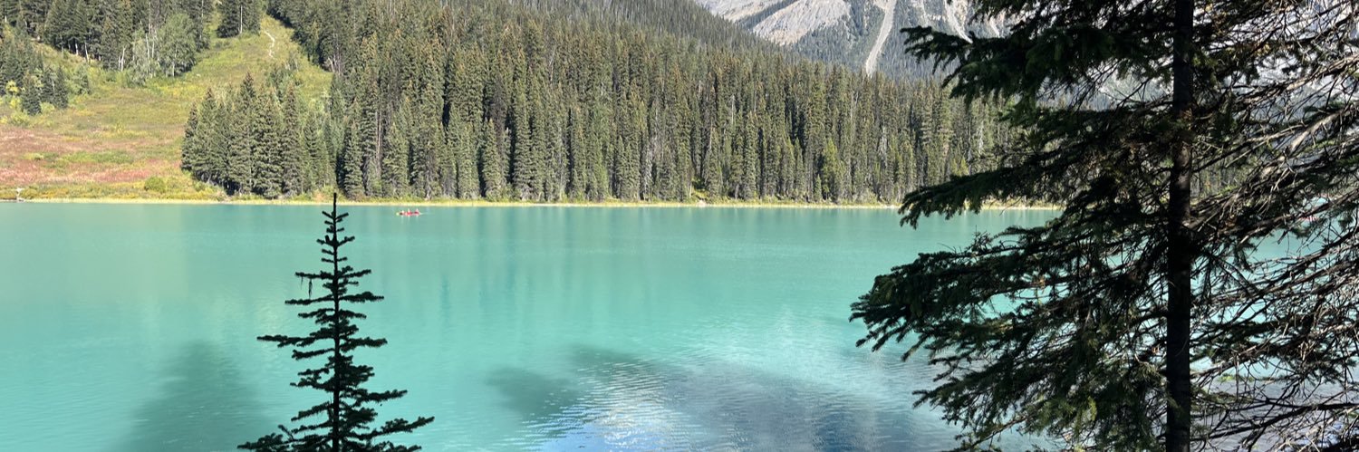 Thundercats! Ho!! banner