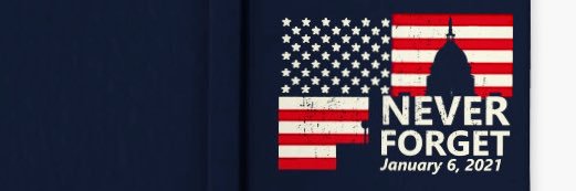 🌊🇺🇸RIP USA banner