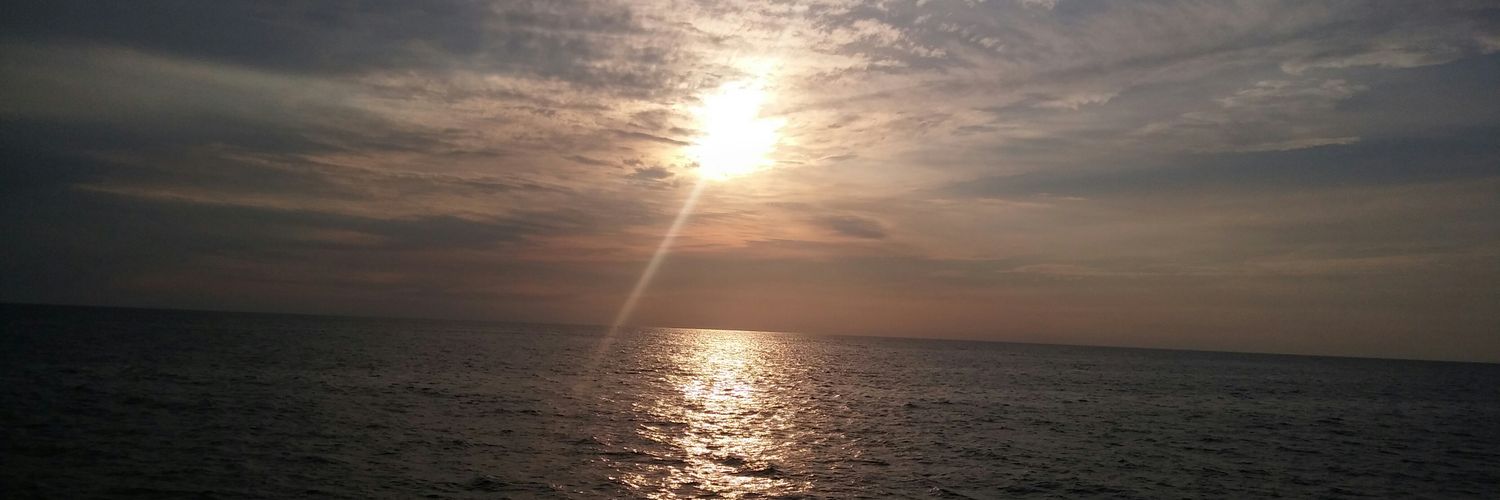 Jenne banner