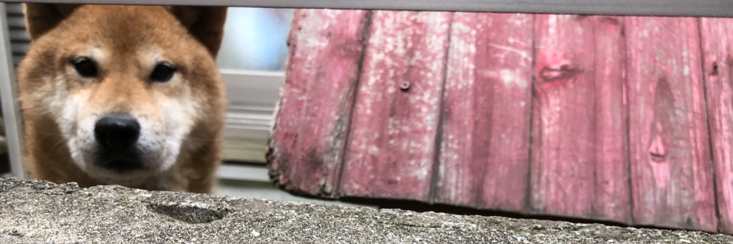 __maronn's profile banner image