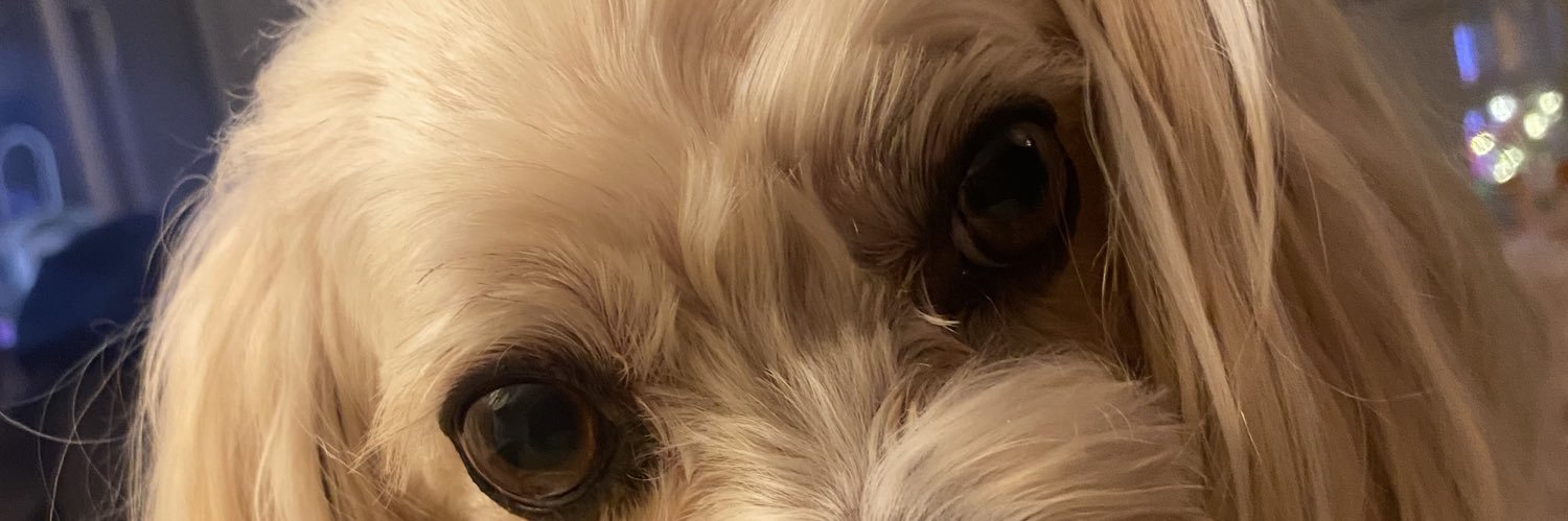 fivemiles's profile banner image