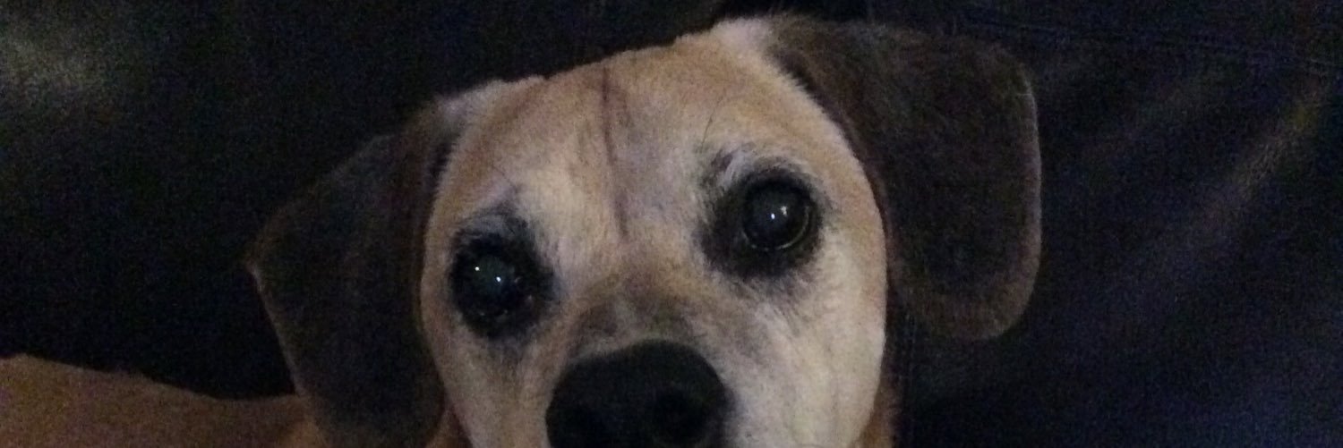 RomanPizzaTaco's profile banner image