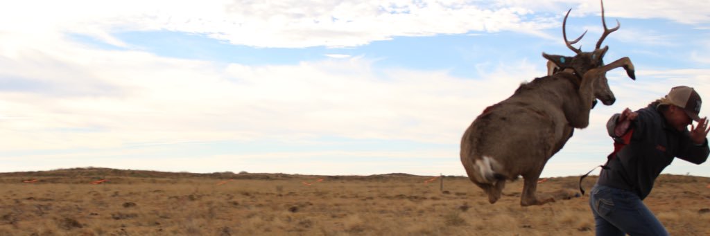 hwright97's profile banner image