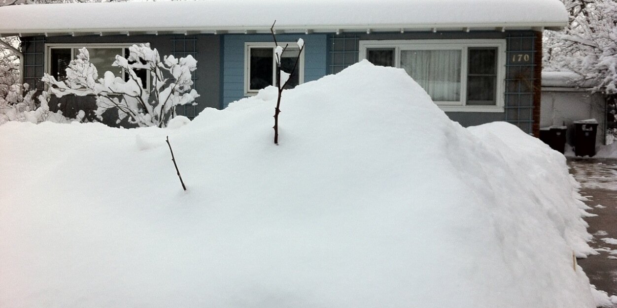 Matthew Kelsch banner