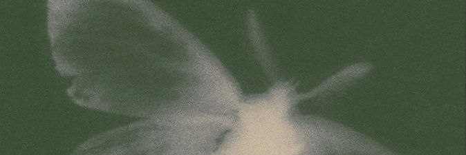 NorikoPNG's profile banner image